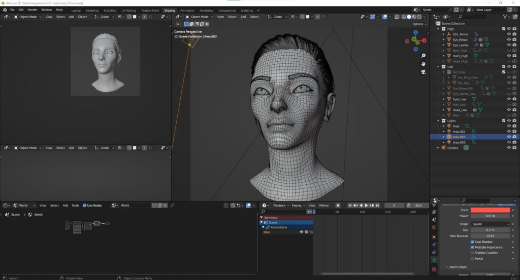 Screen shoot of woman's head on blender